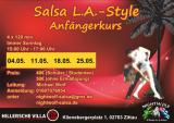 Bild zu Salsa Kurs
